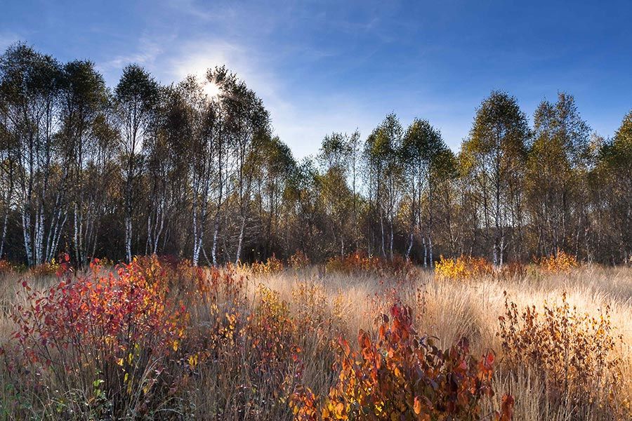 LE MARAIS DU CASSAN ET DE PRENTEGARDE - LACAPELLE VIESCAMP